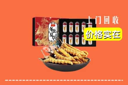 天津市武清回收冬虫夏草